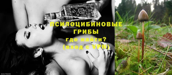 СК Ступино