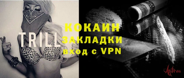 шишки Вязьма